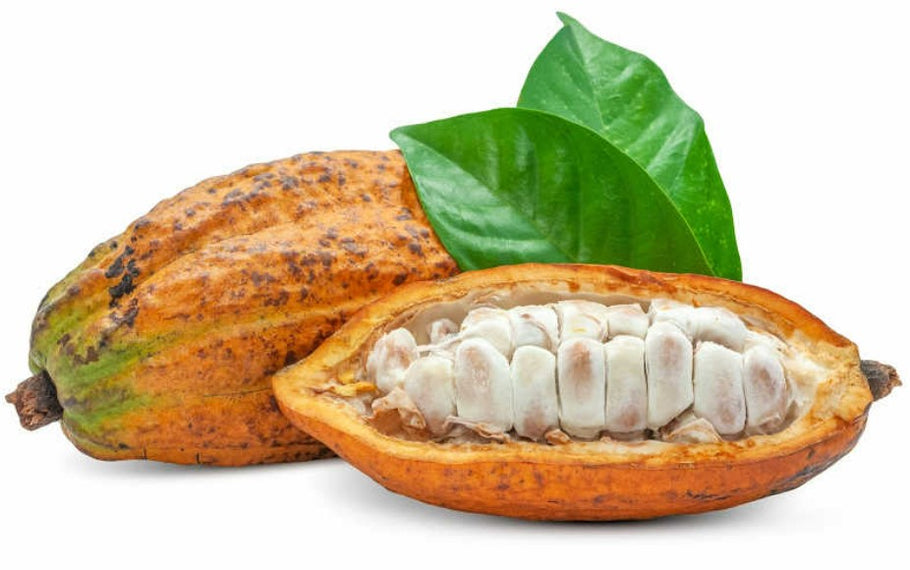The Amazing Healing Power of Raw Cacao: Natural Healing, Inside and Out