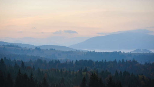 Burning season in Chiang Mai , Thailand