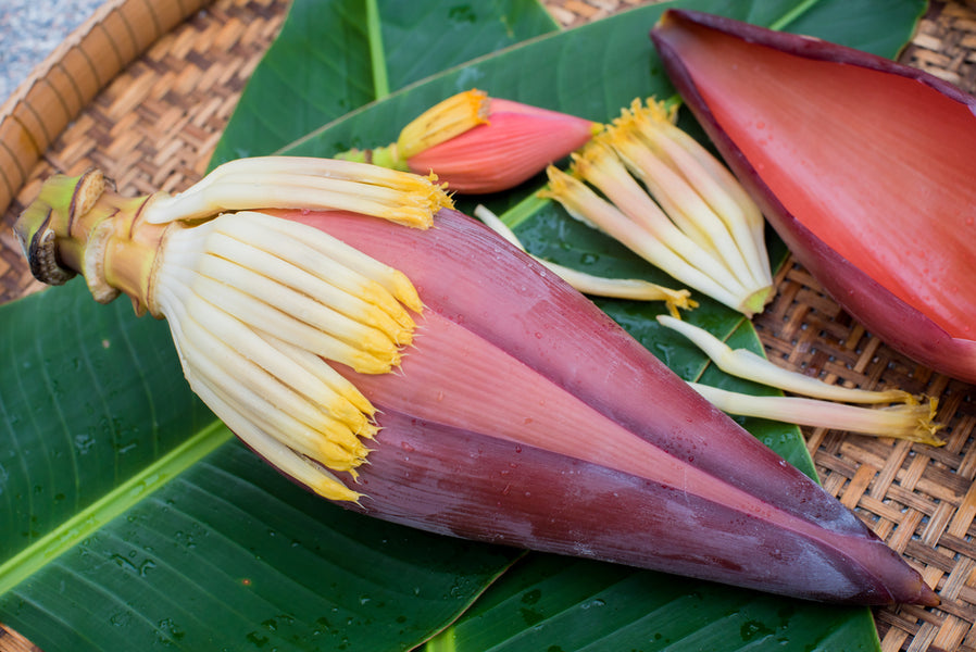 Banana Buds - Rich in Fruit Acids for Skin Health and Skin Renewal