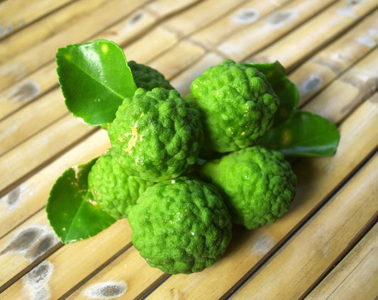 Kaffir Lime - Fragrant & Healing