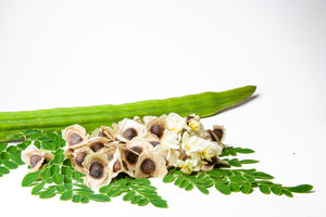 Moringa Seed Oil: Natural Sunscreen & Powerful Skin Healing