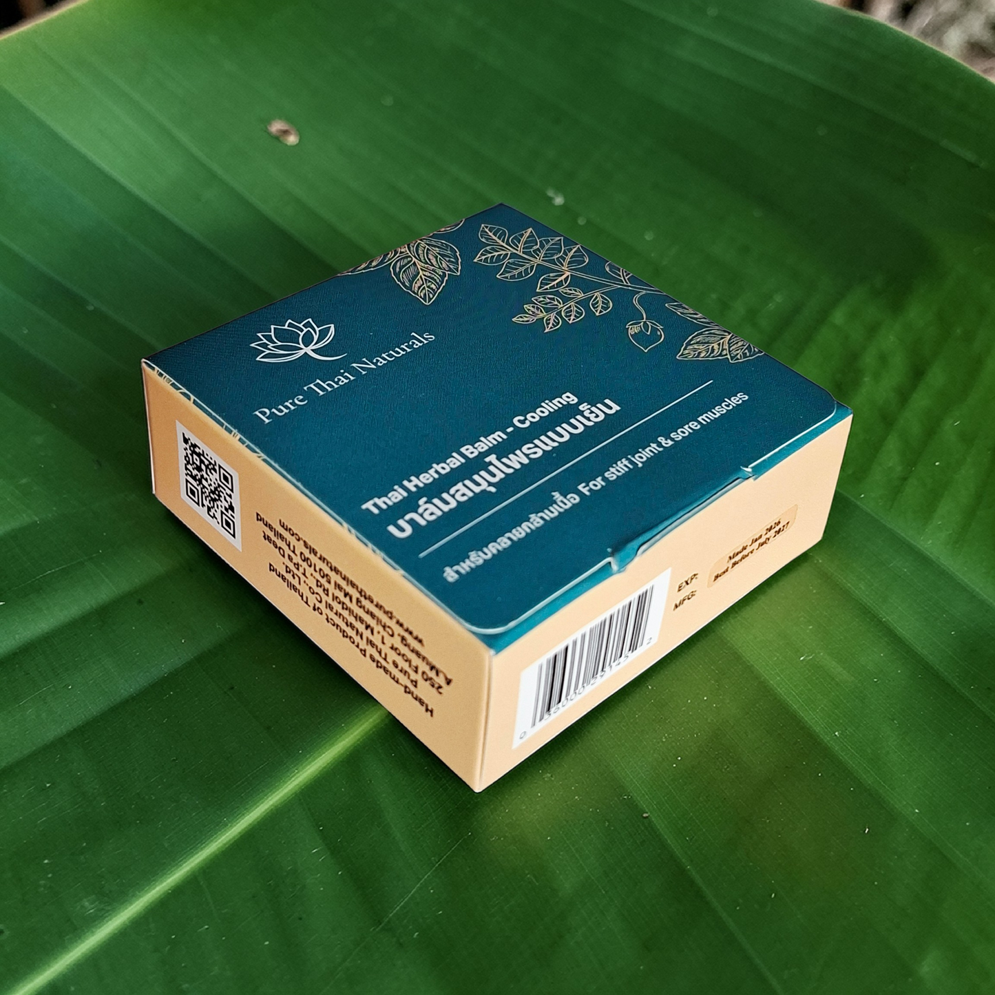 Thai Herbal Balm - Ginger Cassia - Cooling 80g